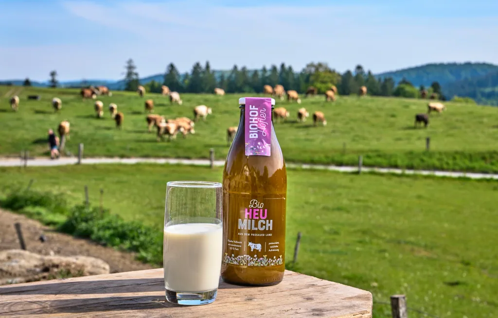 Eine Flasche Bio-Heumilch und ein Glas Milch vor der Kuhweide