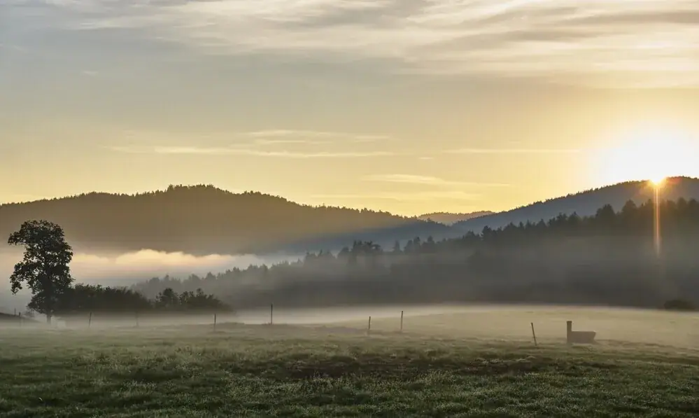 Sonnenaufgang über Wiesen und Wald