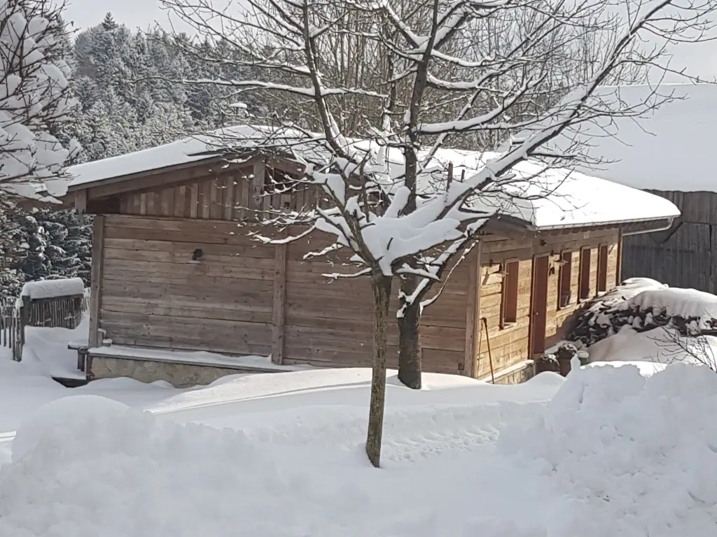 Holzgebäude hinter einem verschneiten Baum